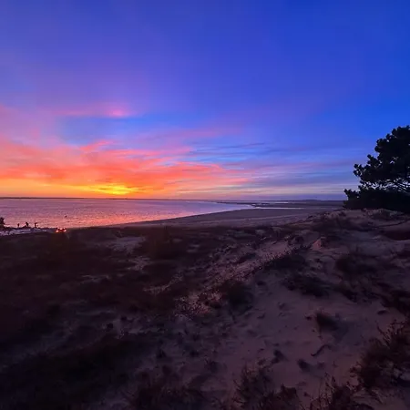 Casa de Férias Villa 4P 7 Pers à La Palmyre - WiFi, Animaux Admis - FR-1-705-39