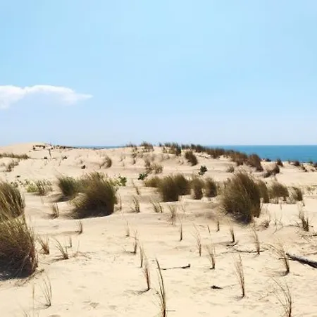 Villa 4P 7 Pers à La Palmyre - WiFi, Animaux Admis - FR-1-705-39