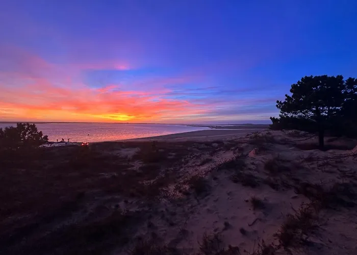 別荘 4p 7 Pers A La Palmyre - Wifi, Animaux Admis - Fr-1-705-39