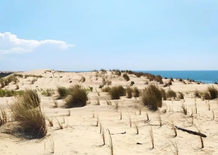 4p 7 Pers A La Palmyre - Wifi, Animaux Admis - Fr-1-705-39